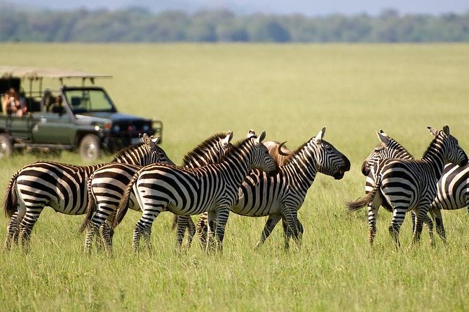 3 Days Maasai Mara From Nairobi - Good To Know