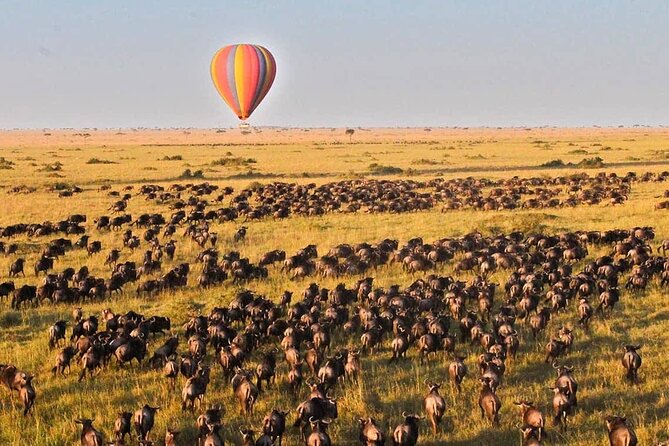 3 Days Maasai Mara Group Joining Safari - Reviews and Ratings