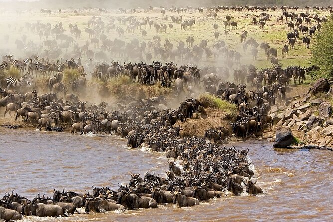 3 Days Maasai Mara Group Joining Safari - The Sum Up