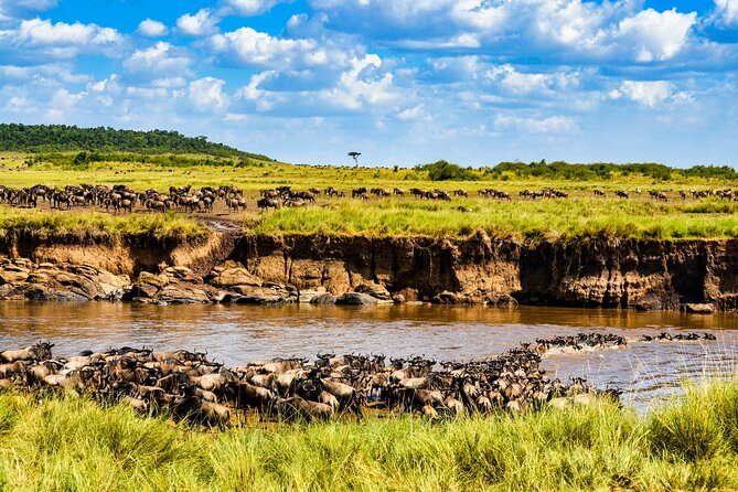 3 Days Maasai Mara Migration Safari - The Sum Up