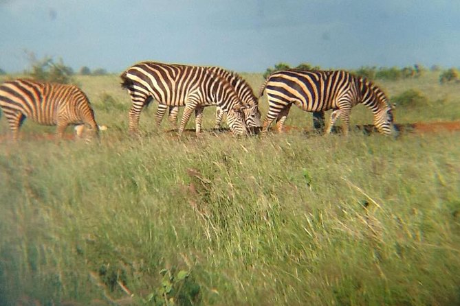 3 Days Maasai Mara Safari - Inclusions and Services