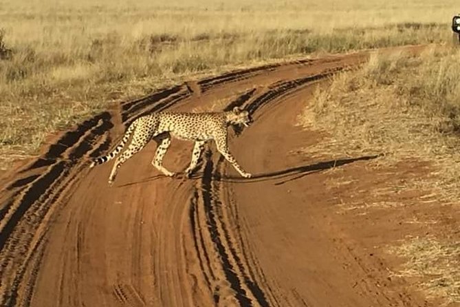 3 Days Maasai Mara Safari - Booking Details