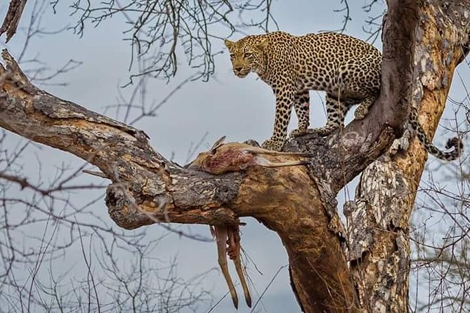 3 Days Maasai Mara Safari - Itinerary and Schedule