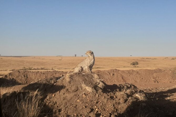 3-Days Maasai Mara Unforgatable Adventure-Private Safari - Frequently Asked Questions