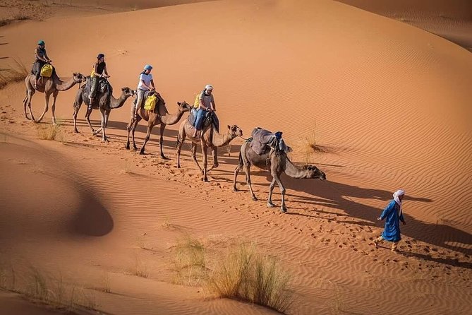 3 Days Marrakech To Fes Desert Tour Via Merzouga - Tour Highlights and Itinerary