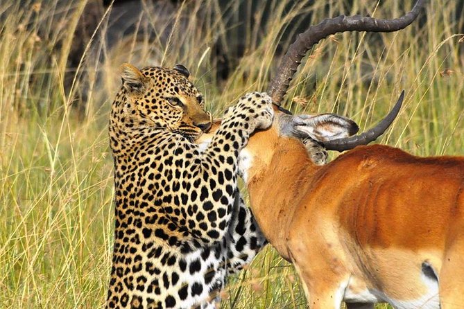 3-Days Masai Mara 4 X 4 Safari From Nairobi - Pricing and Reviews