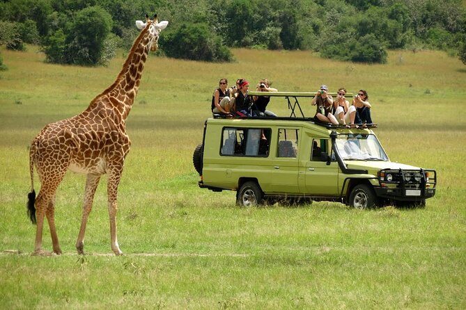 3 Days Masai Mara Budget Camping Safari on 4X4 Land Cruiser - Good To Know