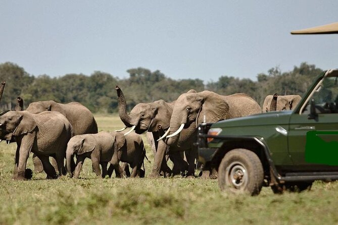 3 Days Masai Mara Budget Camping Safari on 4X4 Land Cruiser - Booking Information