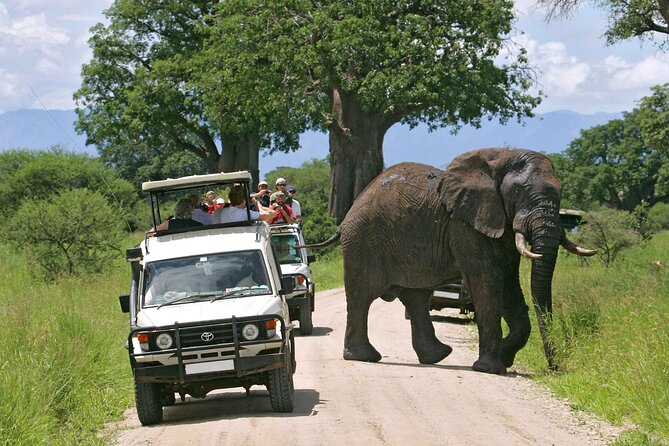 3 Days Masai Mara Budget Camping Safari on 4X4 Land Cruiser - Customer Reviews