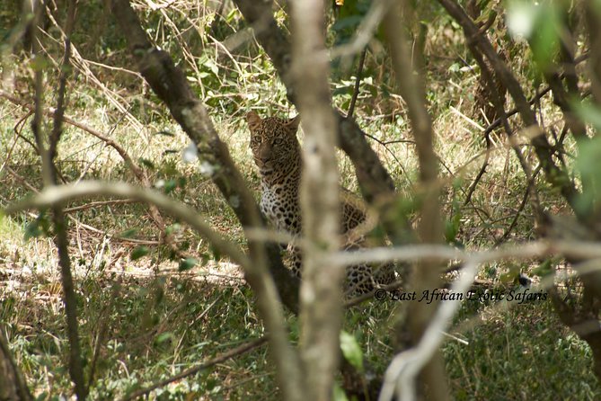 3 Days Masai Mara Budget Safari - Inclusions and Exclusions