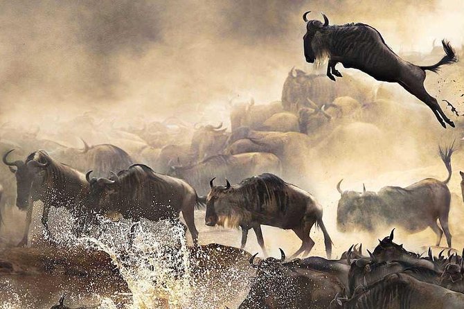 3 Days Masai Mara Budget Safari - The Sum Up