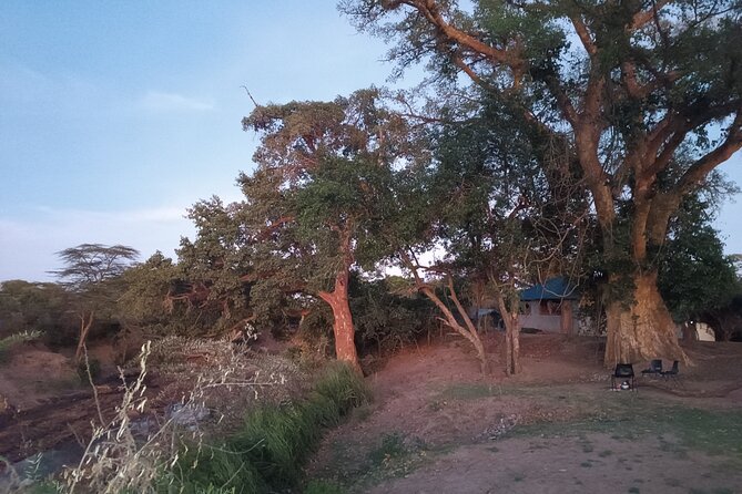 3 Days Masai Mara Camping Safari - Safari Itinerary Details