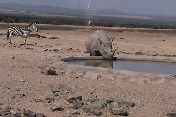 3 Days Masai Mara Experience - The Sum Up