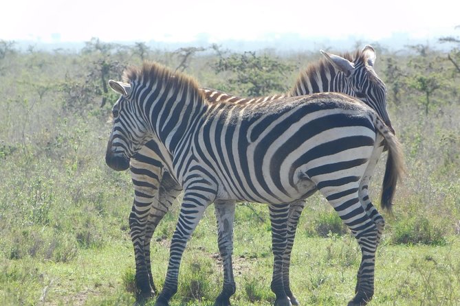 3 Days Masai Mara Flying Safari - Nairobi - Booking Information
