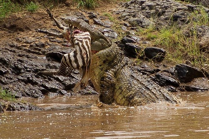 3 Days Masai Mara Flying Safari - Nairobi - Travel Tips