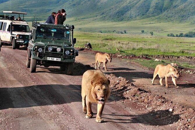 3 Days Masai Mara Group Joining Adventure on 4x4 Land Cruiser - Frequently Asked Questions