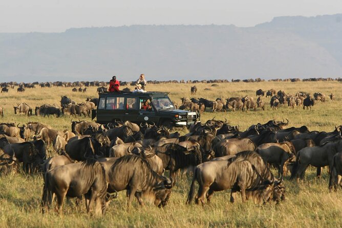 3 Days Masai Mara Group Safaris - Accommodation Details