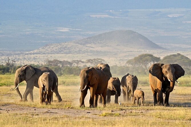 3 Days Masai Mara Group Safaris - Meals Included