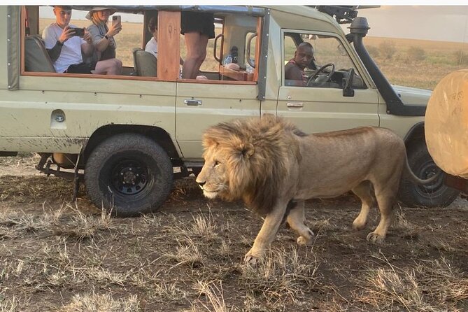 3 Days Masai Mara Jeep Safari - Pickup and Logistics Information