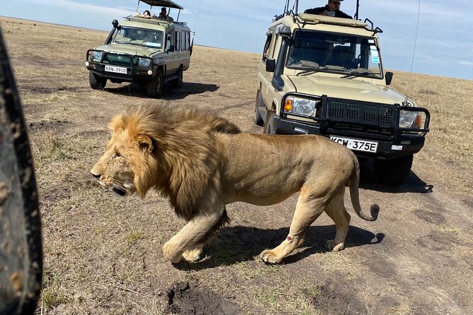 3 Days Masai Mara Jeep Safari - Frequently Asked Questions