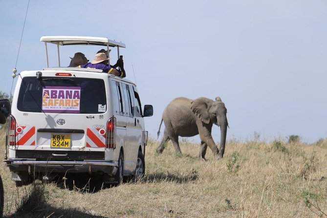 3 Days Masai Mara Safari - Safari Experience