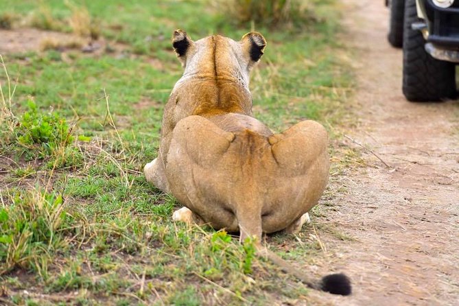 3 Days Masai Mara Safari - Frequently Asked Questions