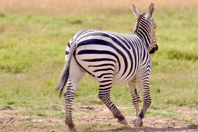 3 Days Masai Mara Safari- Daily Departures - Frequently Asked Questions