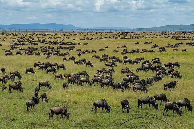 3 Days Masai Mara Sopa Lodge Luxury Safari - Pickup Locations and Group Size