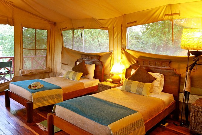 3 Days Masai Mara Wildebeest Migration Budget Safari - The Sum Up