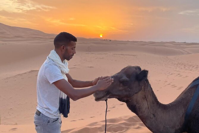 3-Days Merzouga Desert Guided Tour From Marrakech to Fez - Accommodations and Meals