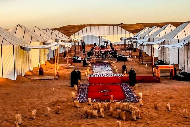 3 Days Merzouga Sahara Tour & Camel Trek - Reviews and Ratings