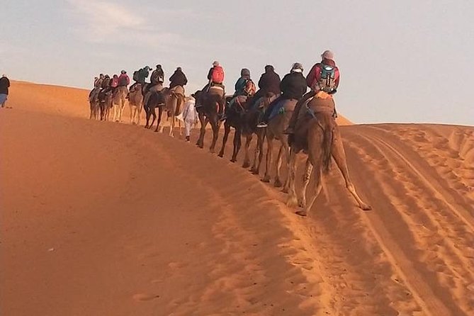 3 Days Merzouga Tour - Tour Highlights