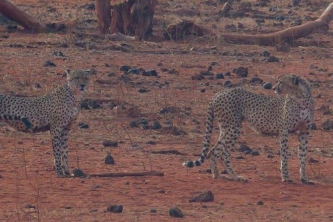 3 Days Mombasa, Taita Hills and Ngutuni Sanctuary Wildlife Safari - The Sum Up