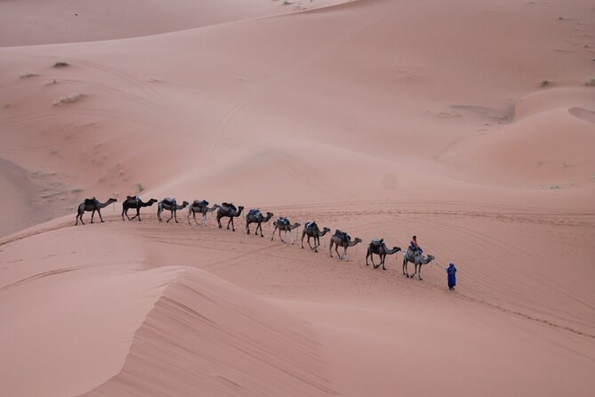 3-Days Morocco Desert Tour From Marrakech to Marzouga - Tips and Recommendations