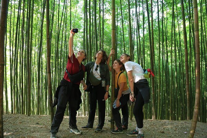 3 Days Mu Cang Chai Motorbike Tour from Hanoi, Ethnic Life, Trek - Day 3: Returning with Style and Serenity