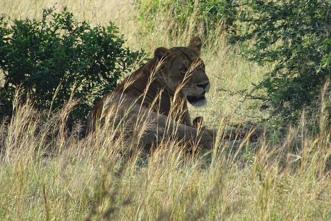 3 Days Murchison Falls Park Uganda - Travel Tips