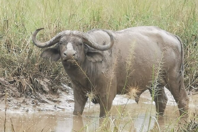 3 Days Murchison Falls Park Uganda - Frequently Asked Questions