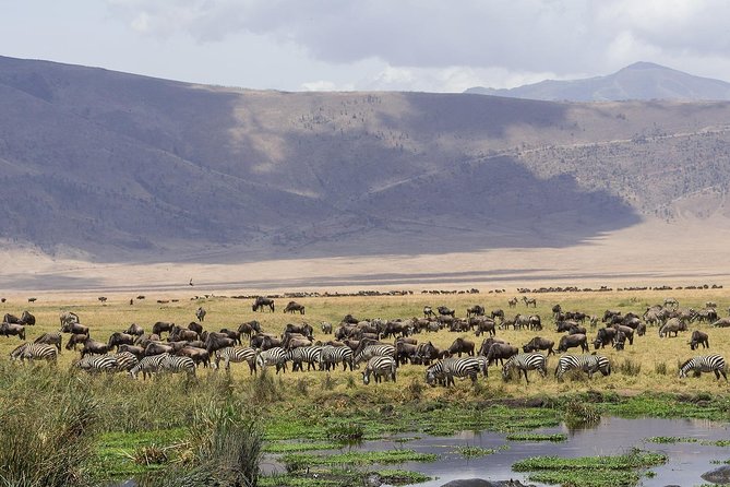 3 Days Ngorongoro Crater Wildlife Safari - Additional Tour Information