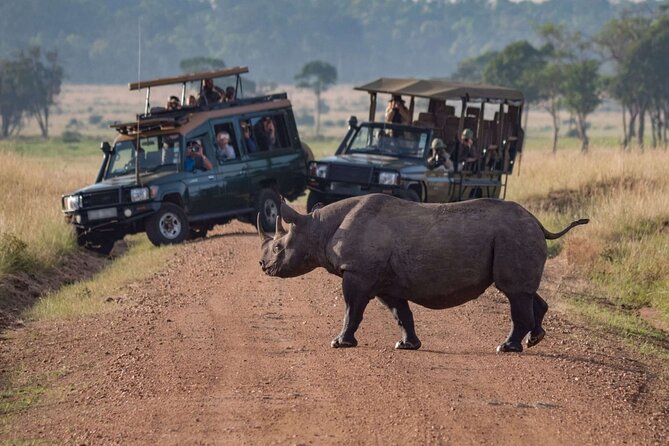 3 Days Ol Pejeta Conservancy Luxury Safari on 4x4 Landcruiser - Luxury 4x4 Landcruiser Experience