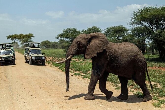 3 Days Ol Pejeta Conservancy Luxury Safari on 4x4 Landcruiser - Additional Safari Details