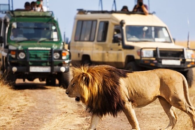 3 Days Ol Pejeta Conservancy Luxury Safari on 4x4 Landcruiser - Group Size and Operator Information