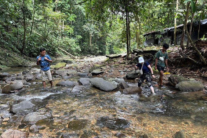 3 Days Orangutan Sumatra Jungle Trekking with Rafting - Practical Details and Value