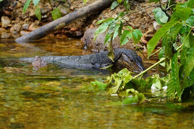 3 Days Orangutan Sumatra Jungle Trekking with Rafting - Potential Drawbacks or Considerations