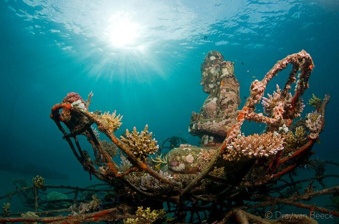 3 Days PADI Open Water Course in Pemuteran - Insights from Reviewers