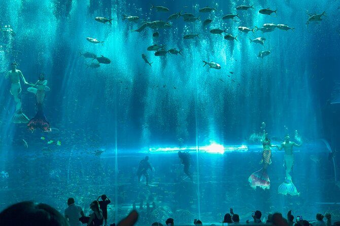 3 Days Phu Quoc Island Tour: Vinwonder, Safari, Snorkeling, Show - The Full Experience: A Deep Dive into the 3-Day Phu Quoc Tour