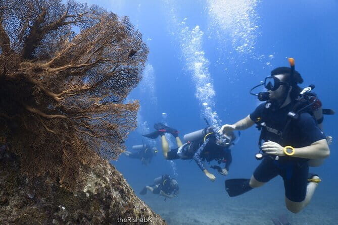 3 Days Phuket Open Water Diver Course & Scuba with License Guide - The Sum Up
