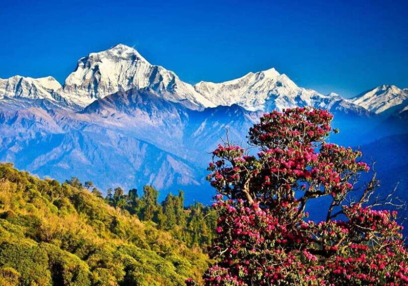 3 Days Pokhara Tour from Kathmandu - An Honest Look at a Popular Nepalese Getaway