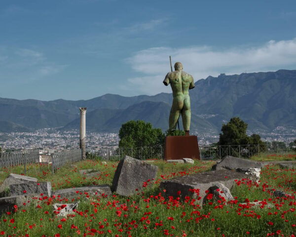 3 Days: Pompeii, Mann & Caserta: Skip-The-Line + Audio Guide - Important Visitor Information