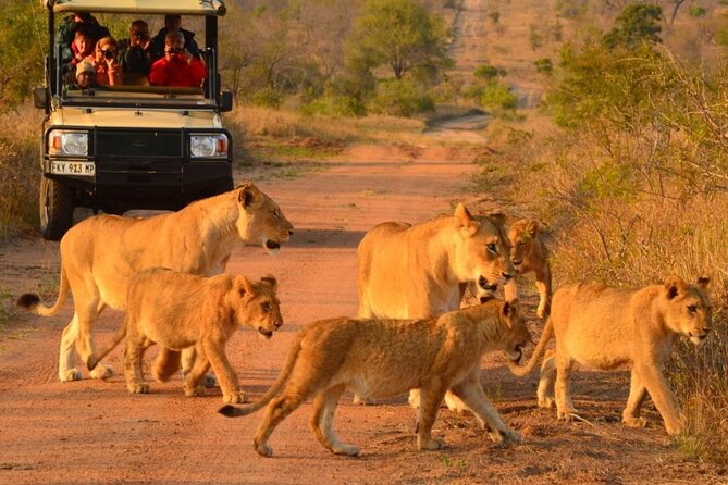 3 Days Private Guided Hoyo-Hoyo Safari Luxury Experience - Frequently Asked Questions