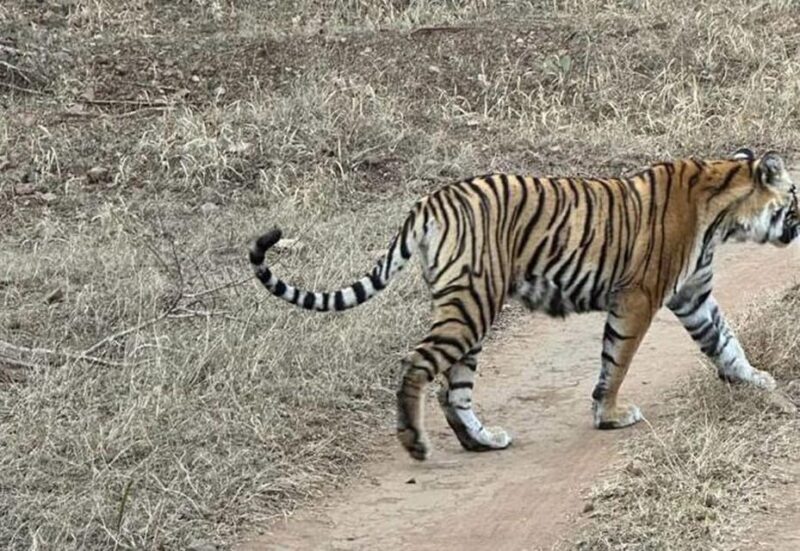 3-Days Private Luxury Golden Triangle Tour Agra Jaipur Delhi - What Makes This Tour Stand Out?